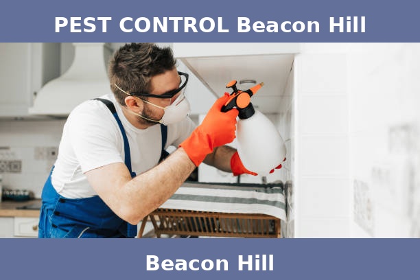 PEST CONTROL Beacon Hill